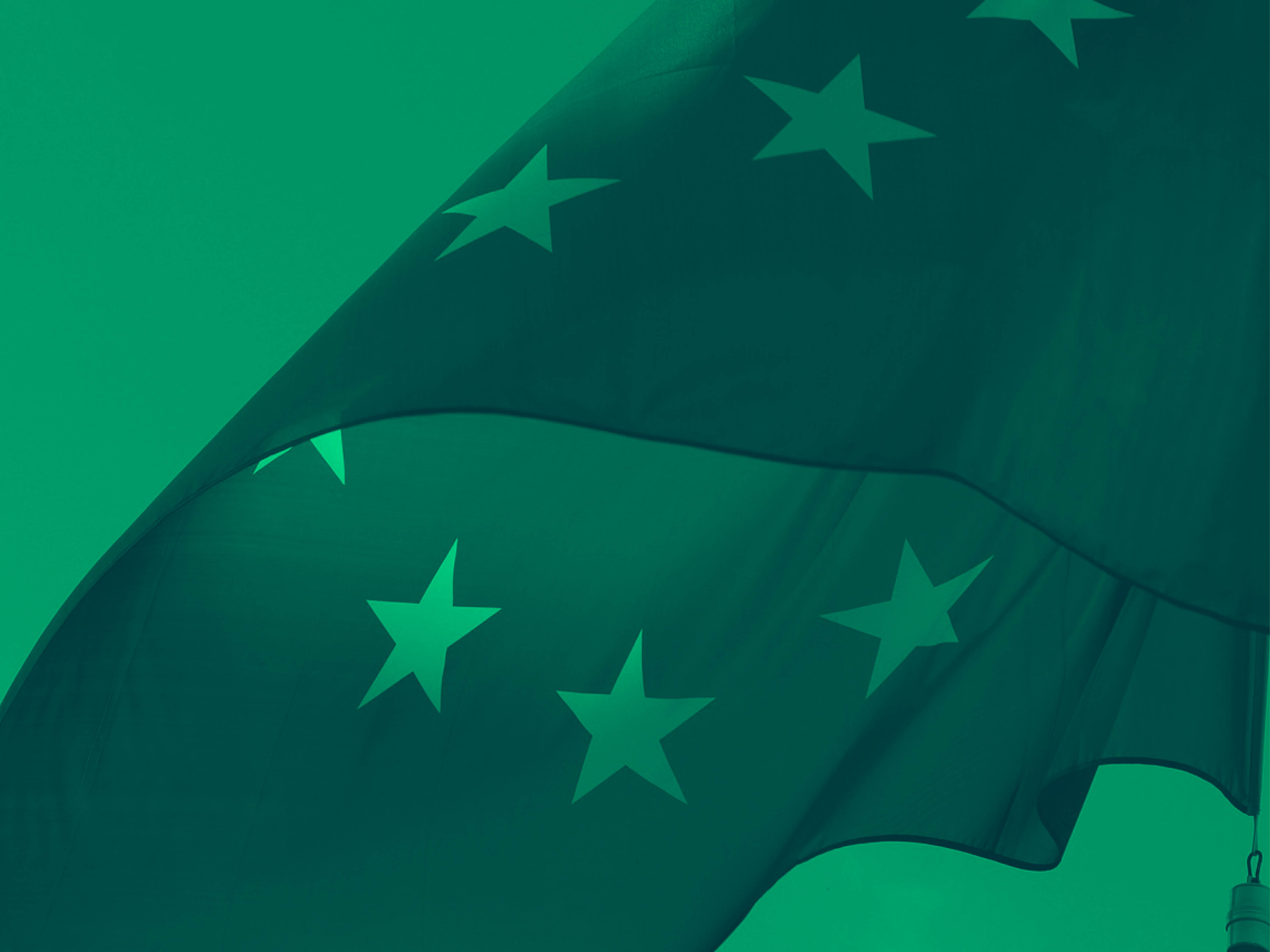 Abbildung der europäischen Flagge.